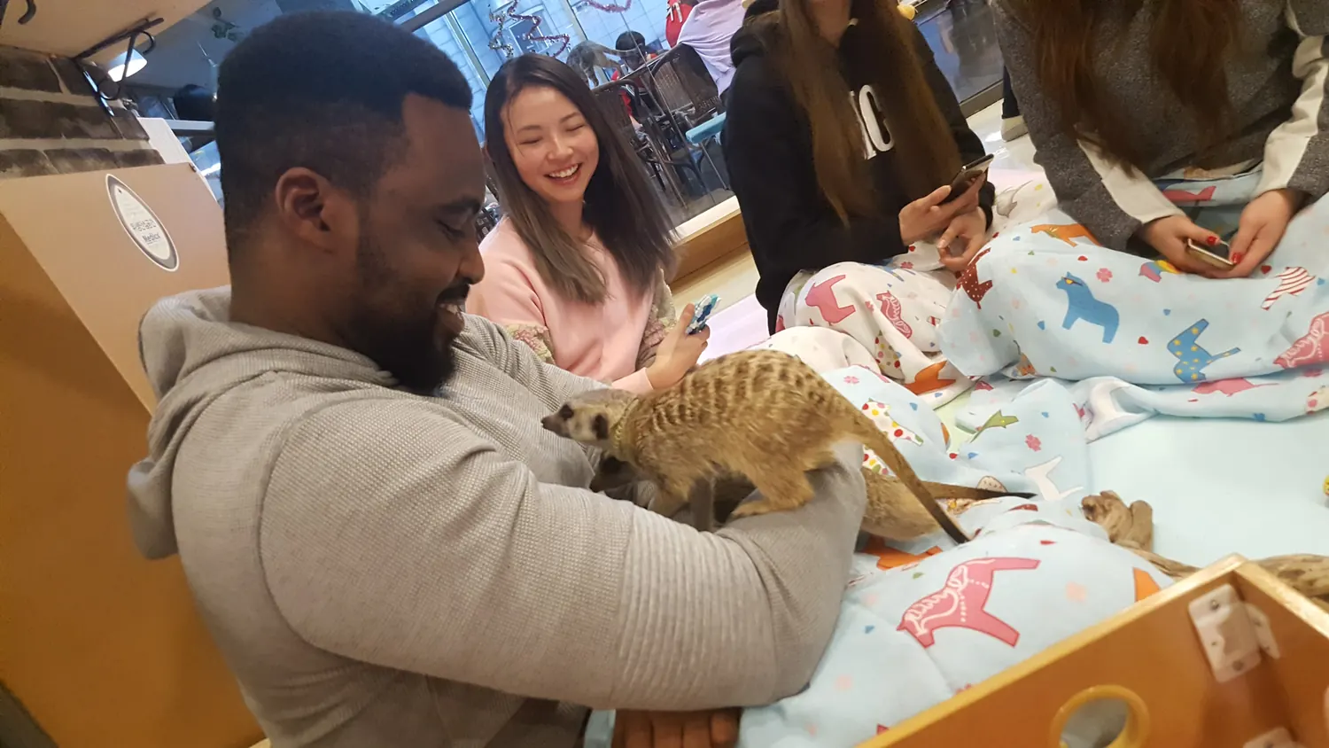 friends sitting together and playing with a meerkat